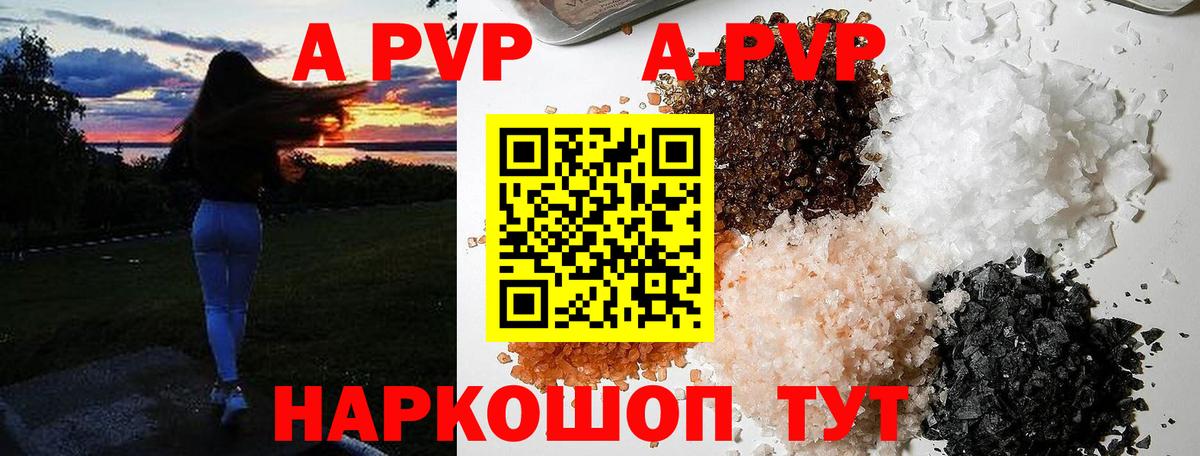 Alfa_PVP СК КРИС Кострома