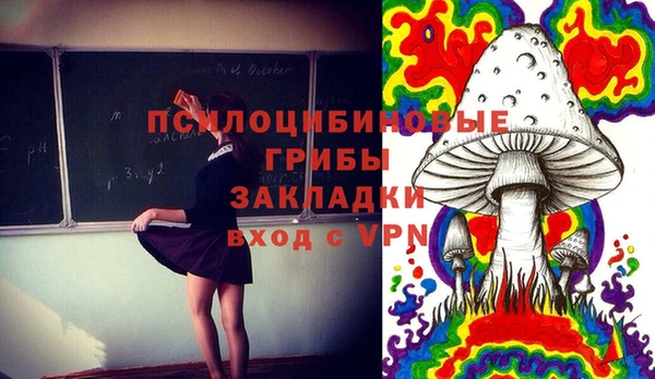 дживик Наволоки