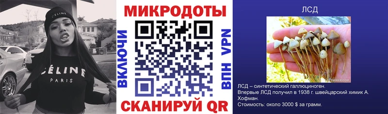OMG ссылка  Кострома  Галлюциногенные грибы Psilocybe 