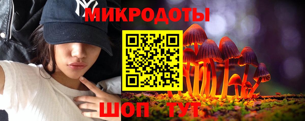 Галлюциногенные грибы Psilocybe  Вход с VPN  Псилоцибиновые грибы ЛСД  Кострома 